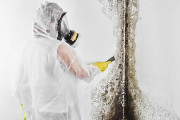 Best Crawl Space Mold Removal  in Worthington Hills, KY