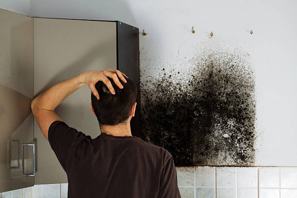 Best Mold Testing  in Worthington Hills, KY